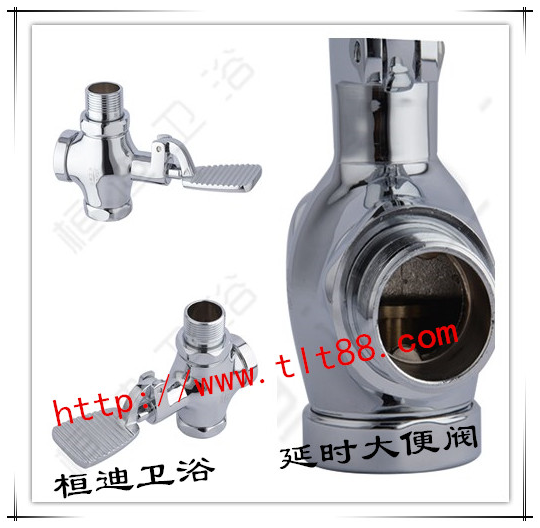 桓迪延時大便閥